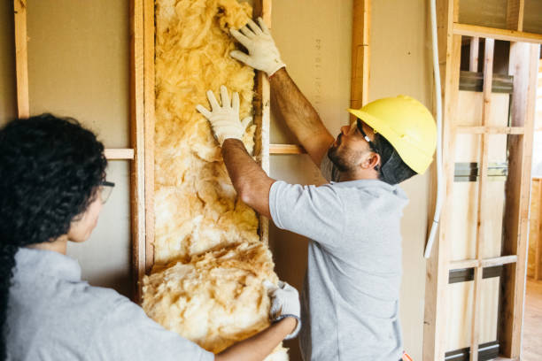 Eco-Friendly or Green Insulation Solutions in Oakbrook Terrace, IL